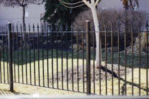 Wrought Iron Fences 006