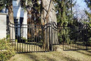 Wrought Iron Fences 001